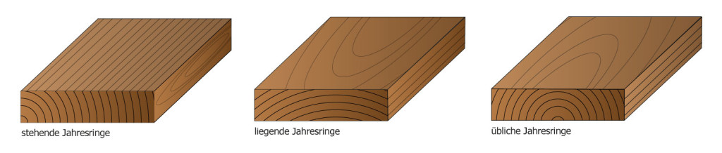 Jahresringe_waagerecht-1024x218.jpg